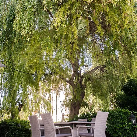 Hotel Aurora 3*
